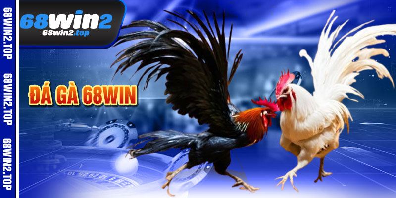 Đá Gà 68win