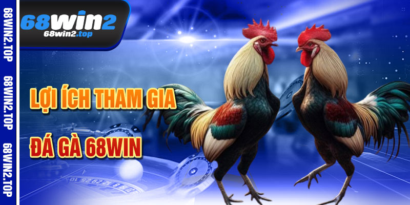 Lợi Ích Khi Tham Gia Đá Gà 68win