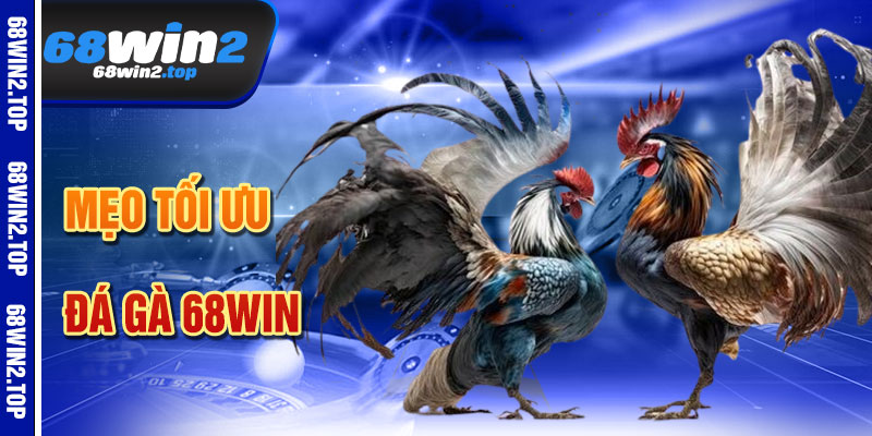 Mẹo Tối Ưu Hóa Trải Nghiệm Đá Gà 68win
